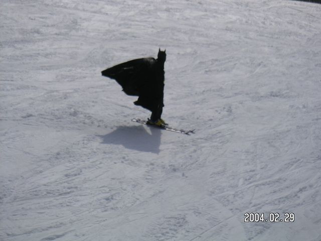 s_PICT0013.jpg